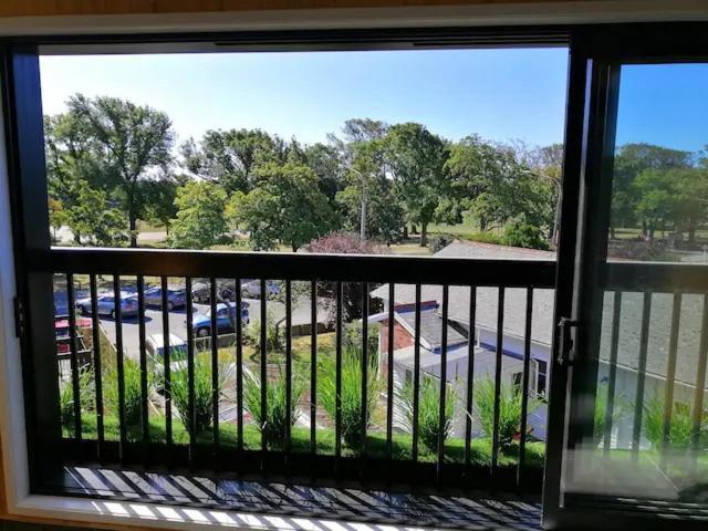 Cozy 1Br Apartment With Hagley Park View Christchurch Exteriör bild